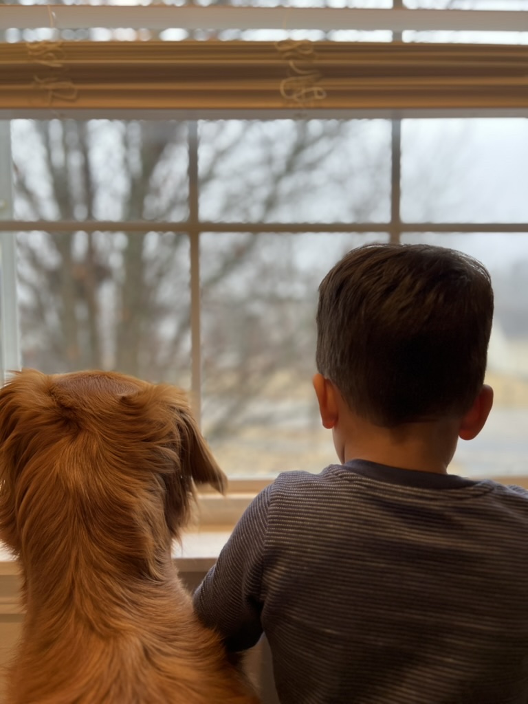 Window watch duty